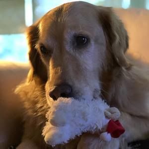 Meet your Posher, Mandy